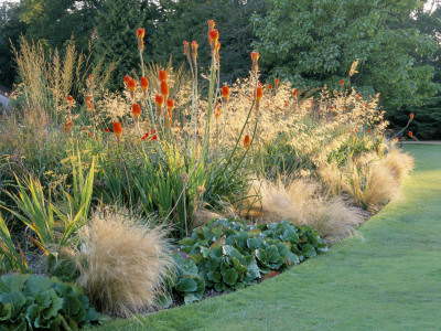 Border Beside Lawn, Cotswold Wildlife Park, Oxfordshire by Clive Nichols Pricing Limited Edition Print image