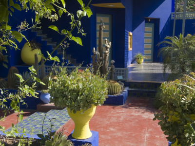 Jardin Majorelle And Islamic Art Museum, Marrakech, Morocco, 1931, Patio by Natalie Tepper Pricing Limited Edition Print image