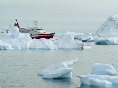 Neko Harbor, Antarctica by Natalie Tepper Pricing Limited Edition Print image