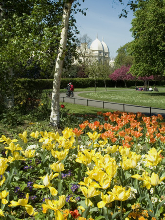 Regent's Park, London, England by Natalie Tepper Pricing Limited Edition Print image