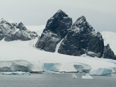 Cuverville Island, Antarctica by Natalie Tepper Pricing Limited Edition Print image