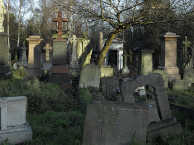 Abney Park Cemetery, Stoke Newington, London by Richard Bryant Pricing Limited Edition Print image