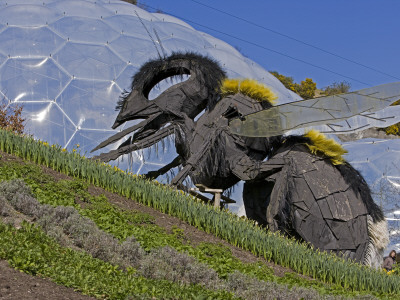 The Eden Project, Bodelva, Cornwall, Architects: Nicholas Grimshaw And Partners by Richard Williamson Pricing Limited Edition Print image