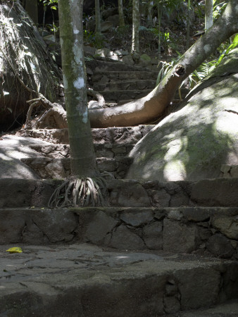 Boulder Garden, Sri Lanka by Richard Bryant Pricing Limited Edition Print image