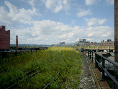 Derelict High Line Railroad, West Side, Manhattan, New York, Hi-Line by Wade Zimmerman Pricing Limited Edition Print image