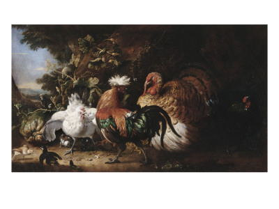 Oiseaux De Basse-Cour. by Melchior De Hondecoeter Pricing Limited Edition Print image
