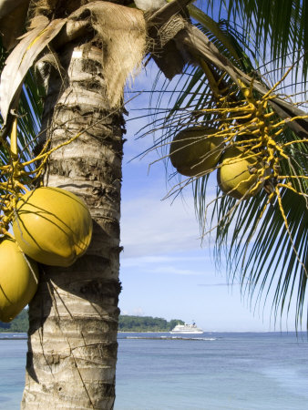 Cruise Ship, Savaii Island, Western Samoa by Michael Defreitas Pricing Limited Edition Print image