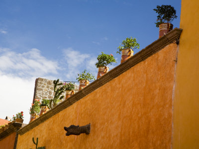 Flower Pots On Rooftop, San Miguel De Allende, Guanajuato State, Mexico by Julie Eggers Pricing Limited Edition Print image
