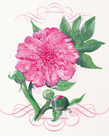 Bubblegum Peony by Elissa Della-Piana Pricing Limited Edition Print image