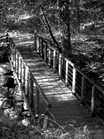 Bridge, Santa Barbara Botanical Gardens by Eloise Patrick Pricing Limited Edition Print image