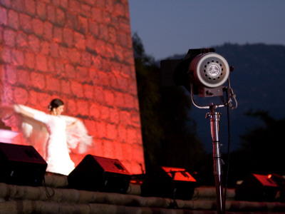 Flamenco/Fiesta, Santa Barbara by Eloise Patrick Pricing Limited Edition Print image