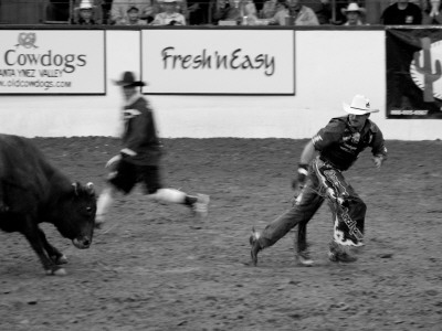 Fresh'n'easy, Santa Barbara Rodeo by Eloise Patrick Pricing Limited Edition Print image