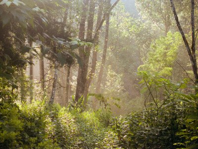 Mountain Landscape, Thailand by Eloise Patrick Pricing Limited Edition Print image