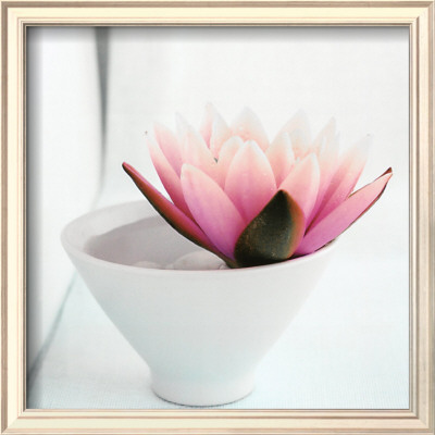 Waterlily by Amelie Vuillon Pricing Limited Edition Print image