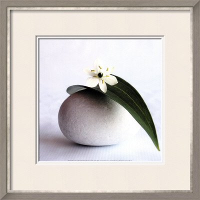 Flower And Pebble by Amelie Vuillon Pricing Limited Edition Print image