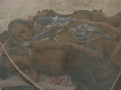 A Niger Family Of Cattle Herders Sleep Under Mosquito Netting by Karen Kasmauski Pricing Limited Edition Print image