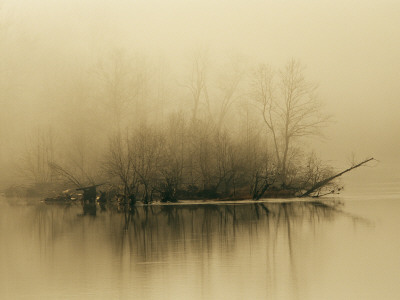 Fog Hovers Above The James River At Dawn by Raymond Gehman Pricing Limited Edition Print image