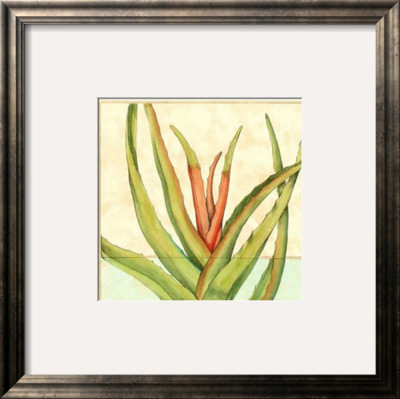 Tropicana Botanical Vi by Jennifer Goldberger Pricing Limited Edition Print image