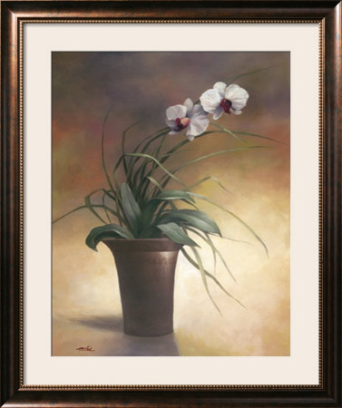 Flowering Orchid I by T. C. Chiu Pricing Limited Edition Print image
