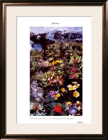 Planet Landscape by Peter Hutchinson Pricing Limited Edition Print image