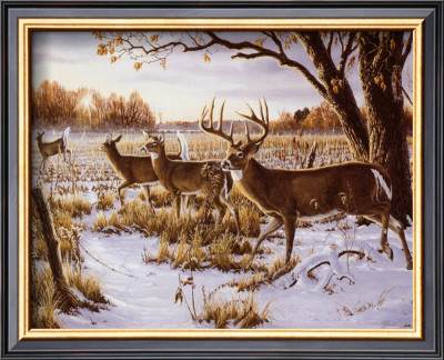 Cautious Crossing by Wilhelm J. Goebel Pricing Limited Edition Print image