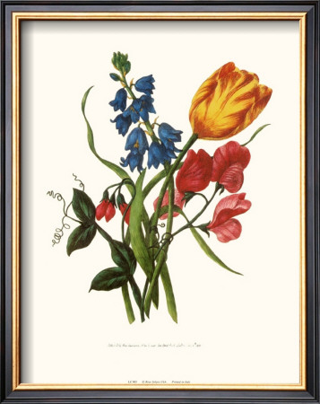 Tulip by Mary Lawrence Pricing Limited Edition Print image