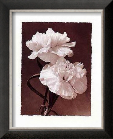 Carnations by Dick & Diane Stefanich Pricing Limited Edition Print image