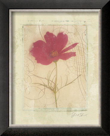 Calligraphic Flower I by Deborah Schenck Pricing Limited Edition Print image