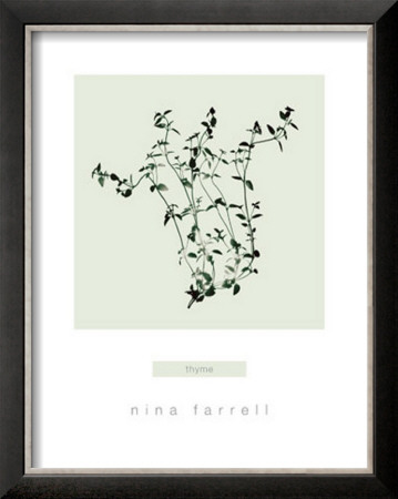 Thyme by Nina Farrell Pricing Limited Edition Print image