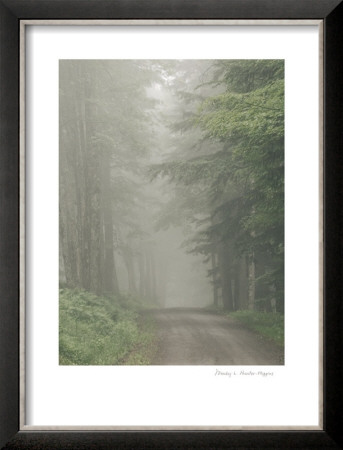 The Loop Road by Wendy Hunter-Higgins Pricing Limited Edition Print image