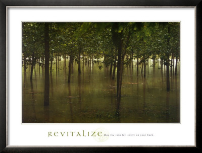 Revitalize: Forest by Sharon Woodruff Pricing Limited Edition Print image