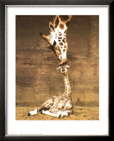 Giraffe, First Kiss by Ron D'raine Pricing Limited Edition Print image