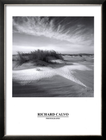 The Color Of Dreams by Richard Calvo Pricing Limited Edition Print image