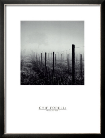 Vineyard by Chip Forelli Pricing Limited Edition Print image