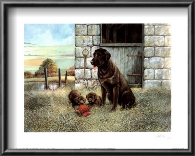 Playful Instincts by Barbara Norris Pricing Limited Edition Print image