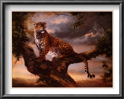 Leopard In Tree by Silvia Duran Pricing Limited Edition Print image