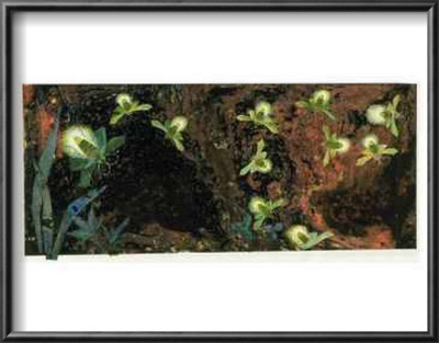 Fireflies From Over In The Meadow by Ezra Jack Keats Pricing Limited Edition Print image