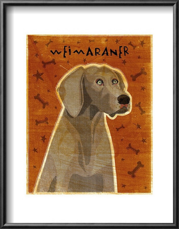 Weimaraner by John Golden Pricing Limited Edition Print image