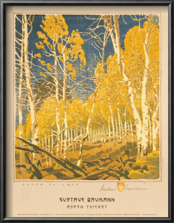 Aspen Thicket by Gustave Baumann Pricing Limited Edition Print image