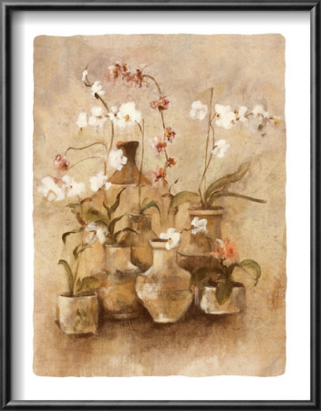 Arrangement Of Orchids I by Cheri Blum Pricing Limited Edition Print image