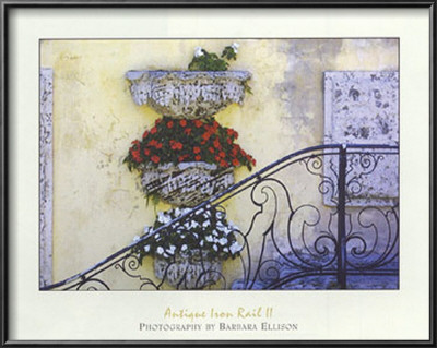 Antique Iron Rail Ii by Barbara Ellison Pricing Limited Edition Print image