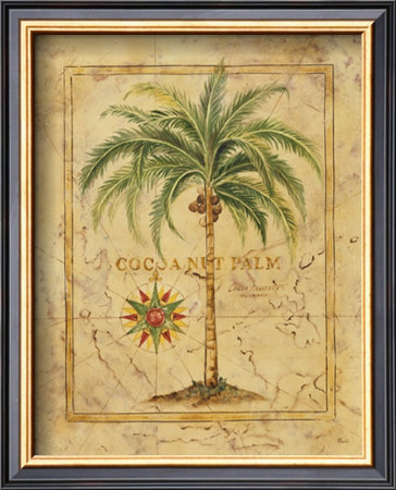 Cocoanut Palm by Tara Blomquist Pricing Limited Edition Print image