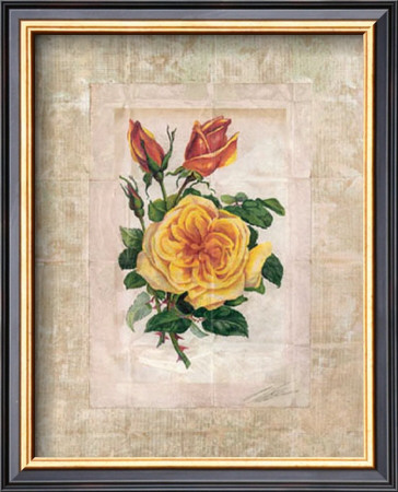 Victorian Rose I by John Butler Pricing Limited Edition Print image