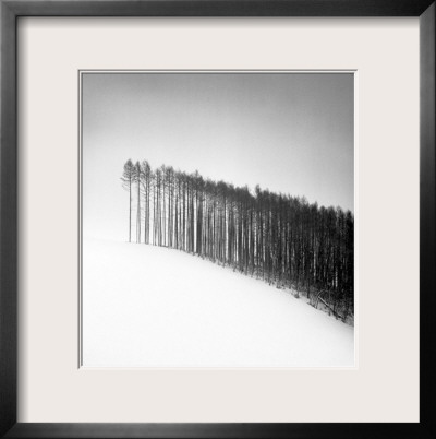 Forest Edge, Hokuto, Hokkaido, Japan, 2004 by Michael Kenna Pricing Limited Edition Print image