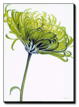 Green Chrysanthemum by Annemarie Peter-Jaumann Pricing Limited Edition Print image