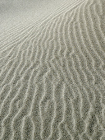 Ripples Of Sand Make Patterns On The Dunes At A Mediterranean Beach by Stephen Sharnoff Pricing Limited Edition Print image