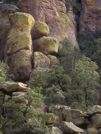 Cliffs Colored With Yellow Lichen In Chiricahua Nat'l Monument by Stephen Sharnoff Pricing Limited Edition Print image