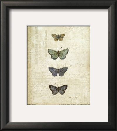 Botanical Butterflies I by Katie Pertiet Pricing Limited Edition Print image