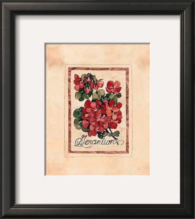 Vintage Geranium by Jerianne Van Dijk Pricing Limited Edition Print image