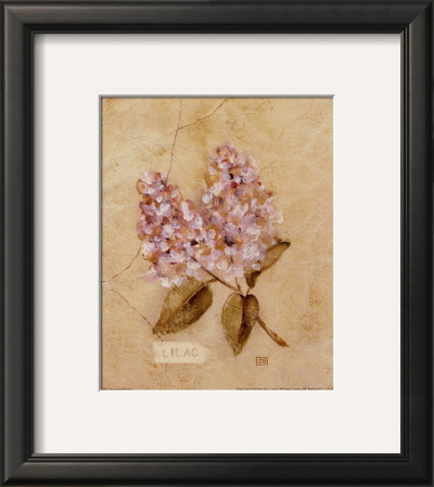 Lilac On Cracked Linen by Cheri Blum Pricing Limited Edition Print image
